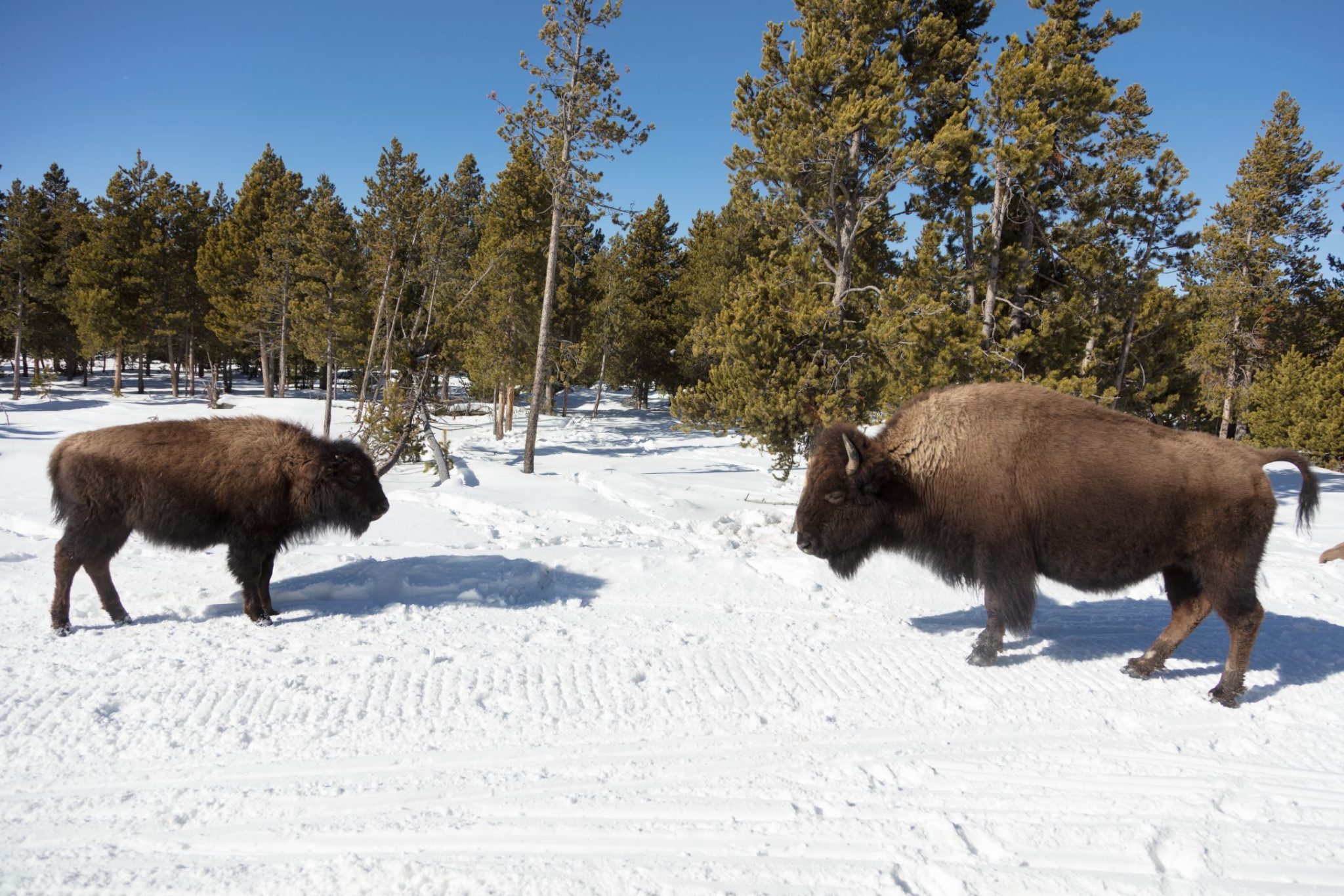 Photo Caption Round 2 - Rock River Ranches